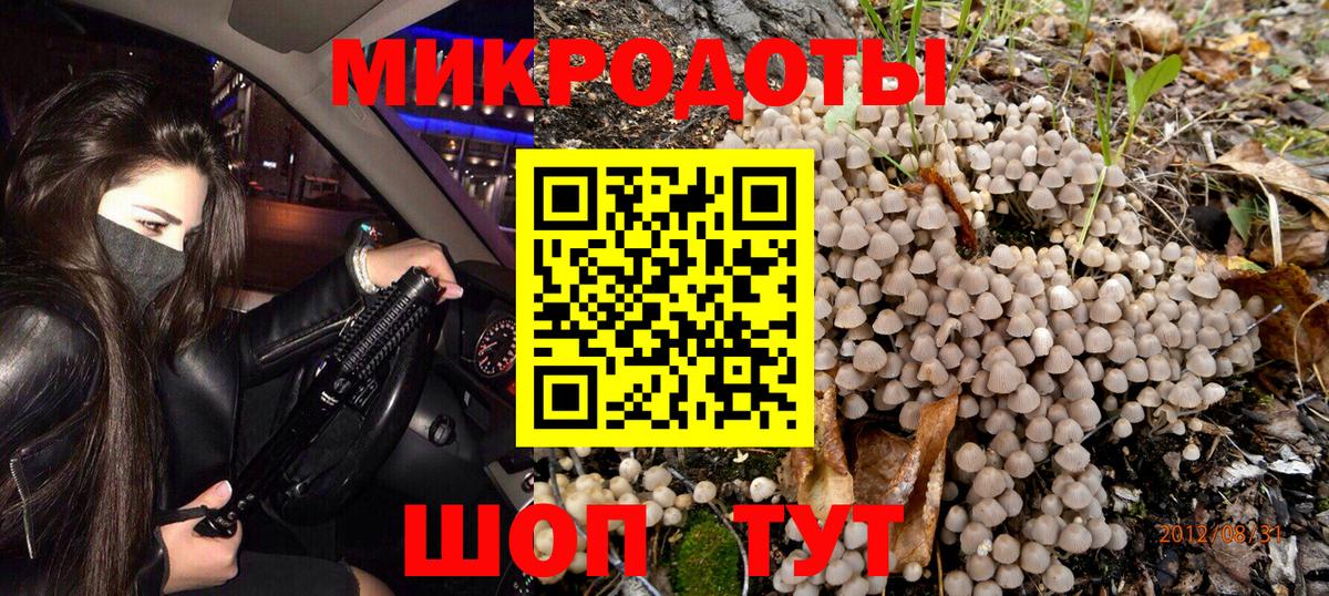 Псилоцибиновые грибы GOLDEN TEACHER Саяногорск